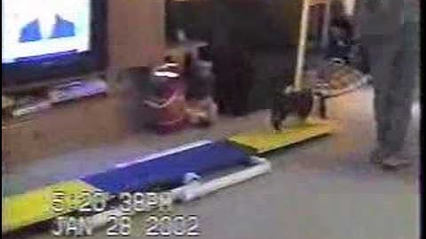 Reddi Puppy Agility Training Clicker