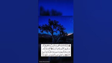 تلاوة خاشعة (ربنا إنك تعلم ما نخفي و ما نعلن)