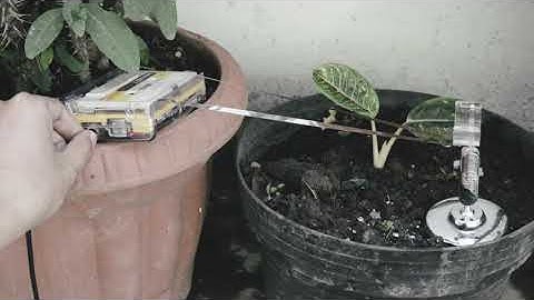 Walkman Tape Loops on Plant Pots