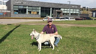 Easter Weekend with Our New Dog / Different Russia 2025