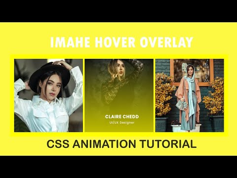 css image hover overlay effects | Coding bd