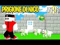 SONO SCAPPATO DALLA PRIGIONE DI NICO SU MINECRAFT