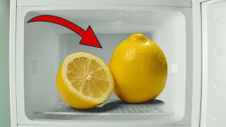 Du wirst den Rest deines Lebens Zitronen einfrieren, nachdem du DAS gesehen hast 