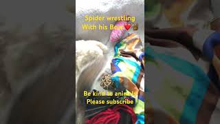 Spider wrestling #squirrel #love #animals #wildlife #karma