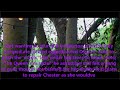 Wodensfield Episode86 Secret of speedreading USE OPTIONS/PAUSE TO SLOW Saxon Healing ASMR +The Slave