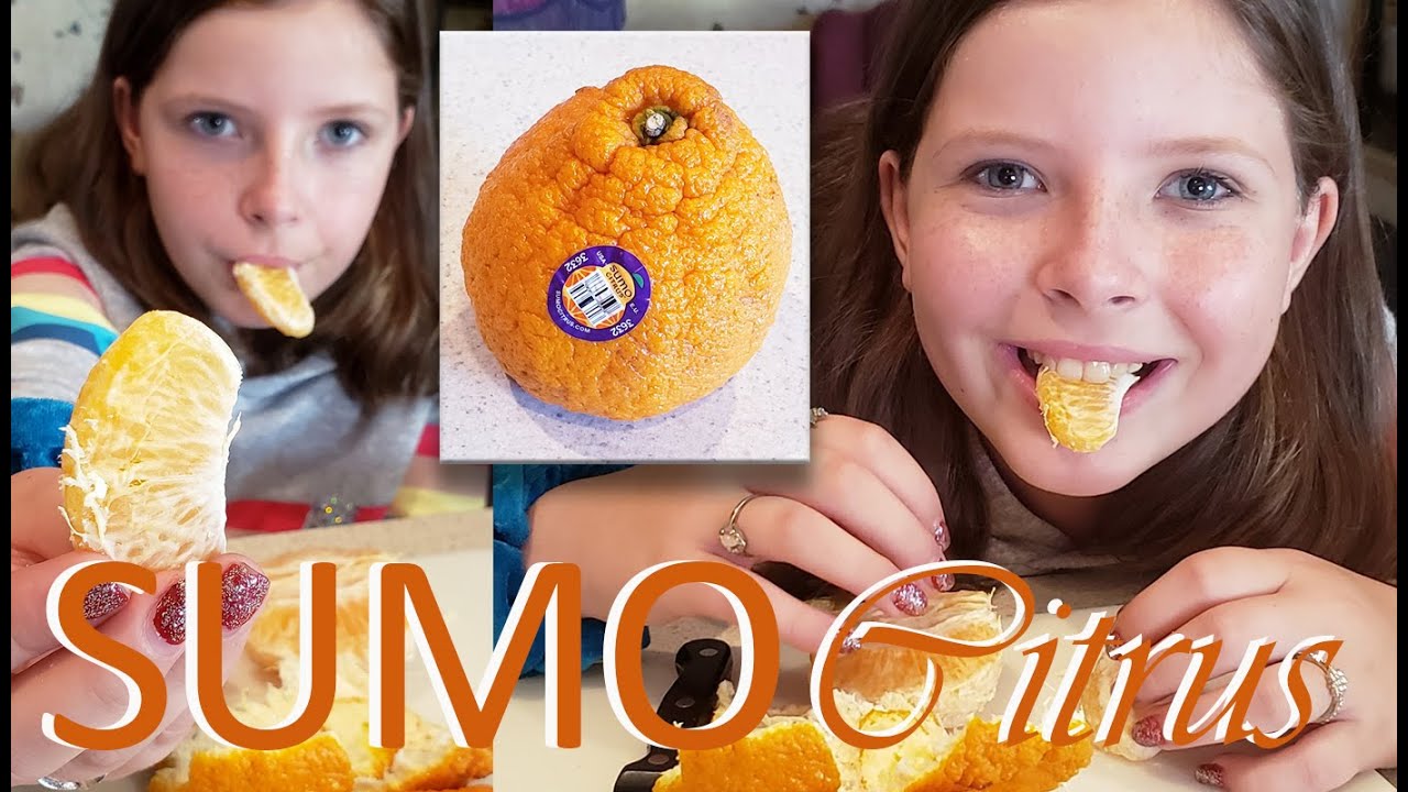 スモウシトラスが流行に Sumo Citrus becomes trendy – English SQUARE