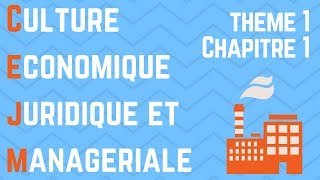 CEJM - Th1 Chap1 : L'environnement économique de l'entreprise