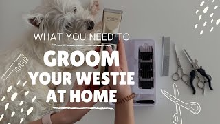 Grooming your Westie at home: Everything you'll need!