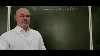 картинка: Лекция 3.1 Субстратное фосфорилирование (часть 2)
