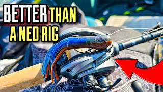 Best Finesse Rig of 2024? (Familiar yet DIFFERENT!) - YouTube