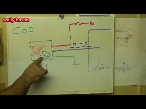 شرح عن الكويل او المجول