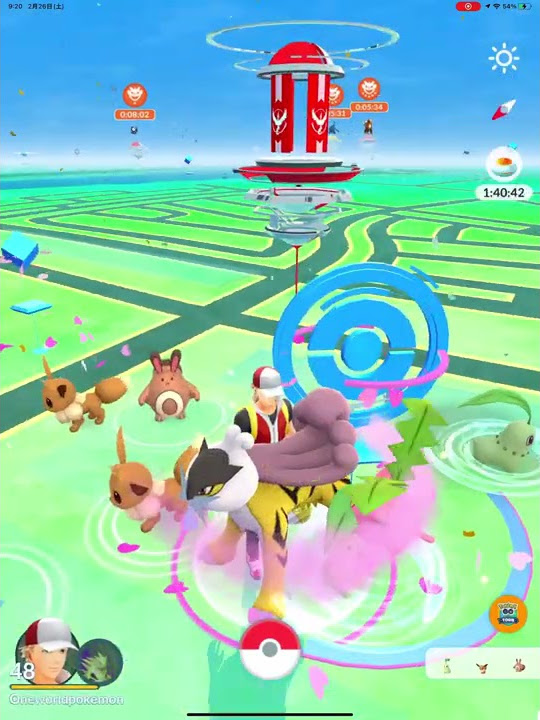 Onepoke