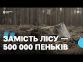 Нещадно знищили як відновлюють ліс після найбільшої в Україні незаконної вирубки на Рівненщині Нещадно знищили як відновлюють ліс після найбільшої в Україні незаконної вирубки на Рівненщині