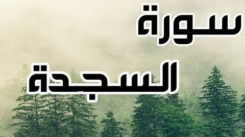 Surah al-sajah // سورة السجدة بصوت القارئ سلمان العتيبي