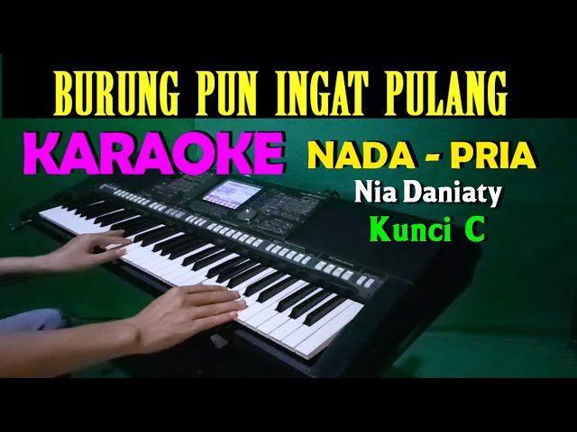 BURUNG PUN INGAT PULANG - Nia Daniaty | KARAOKE Nada Pria || C=DO class=