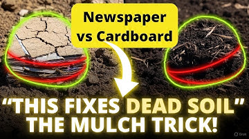 Stop Using Compost WRONG! This Soil Saving Sheet Mulch Trick Changes EVERYTHING!