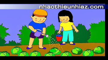 CÂY BẮP CẢI (Hình minh họa theo lời bài hát)