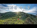 아름다운 대자연속 해발 1,400 고지에서 나홀로 14km 우중 백패킹 l 솔로백패킹 (feat.보노)