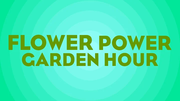 Flower Power Garden Hour 126:  Orchids, with Shawn...