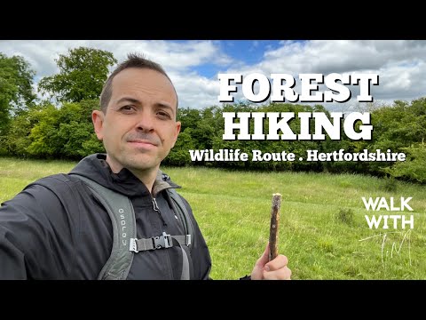 Forest Hiking in Ashridge Estate - Wildlife Route | Walk with Tim