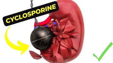 Cyclosporine Breakthroughs: The Latest Innovations in Treating Chronic Conditions