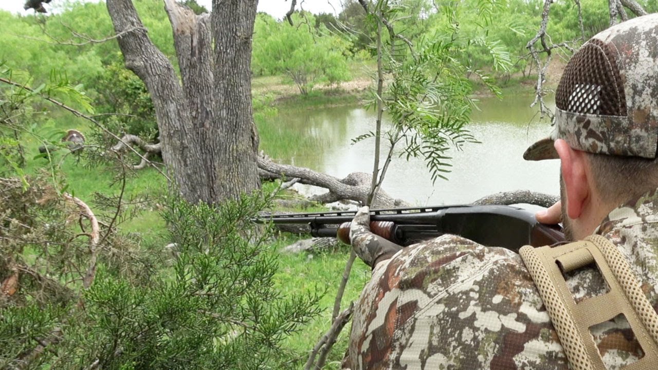 Texas TURKEY HUNT {Catch Clean Cook} The Best Turkey Gear EVER YouTube