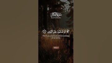 اَلْهَٰكُمُ التَكَاثُرْ || تلاوة جميلة لسورة التكاثر || القارئ مشاري راشد العفاسي