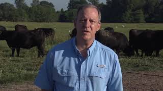 Welcome from Dr. Mike Salassi - 2020 Virtual Beef and Forage Field Day