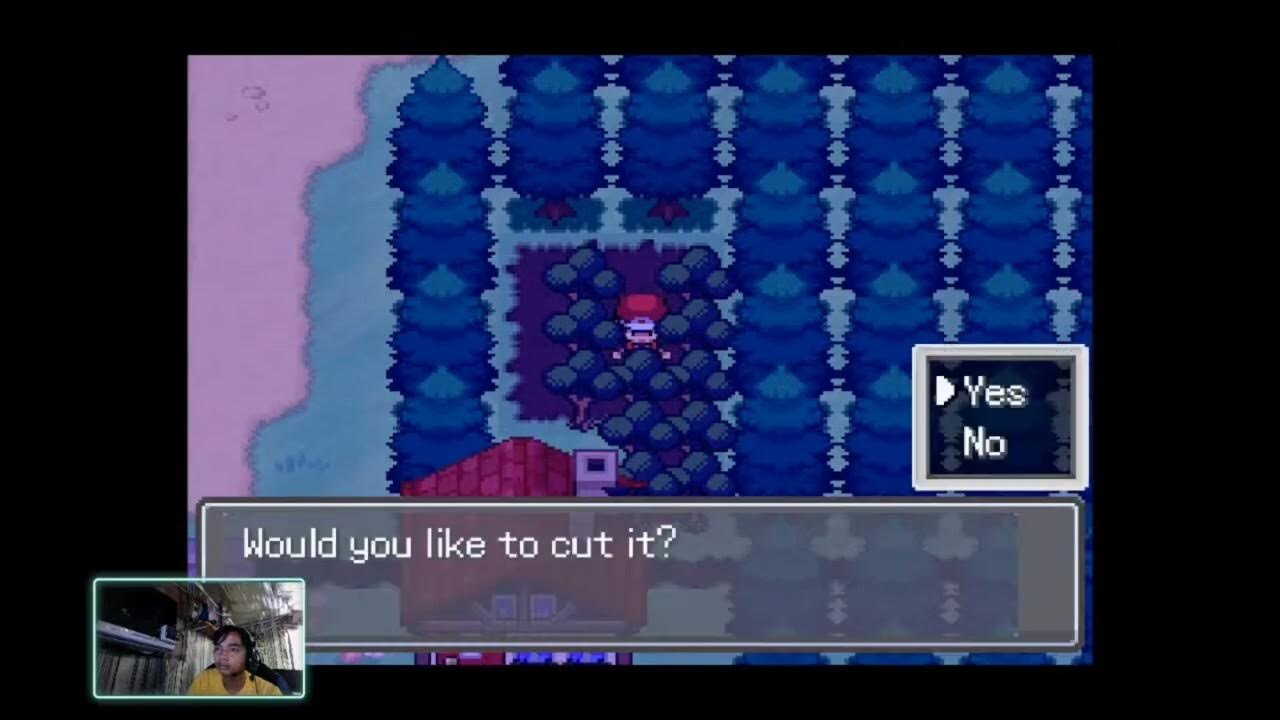 Pokemon Infinite Fusion ( how to get shears use cut without using