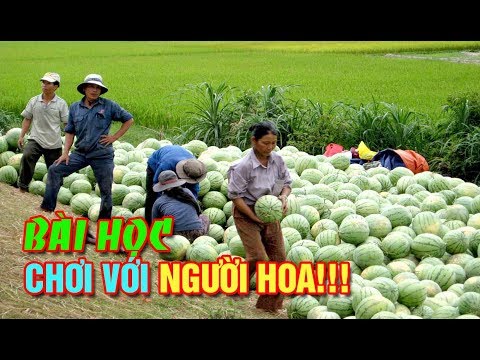 Chơi với người Hoa - Những bài học cay đắng trong làm ăn vơi người Hoa