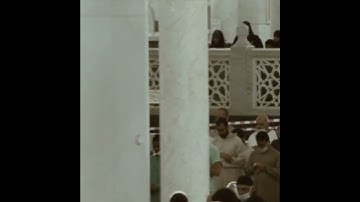 قبس من صلاة التراويح | رمضان ١٤٤٣ هـ | سورة آل عمران | الشيخ #عبدالرحمن_السديس