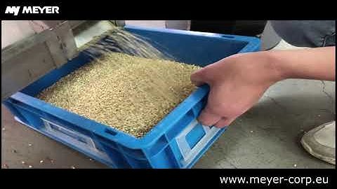 MEYER - Buckwheat sorting // Sortowanie optyczne gryki