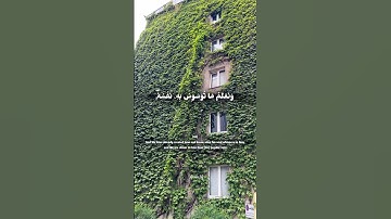 تلاوة خاشعة..القارئ المنشاوي.. #قران_كريم #اكسبلور #quran #المنشاوي #berlin