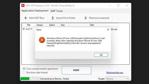 Windows Phone ip over USB Transport (ipOverUsbSvc) from the services management console.