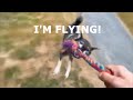 Flying Shikoku Dog の動画、YouTube動画。