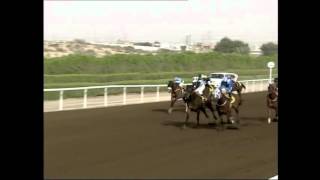 jebel ali 18 march 2016 commercial bank of dubai shaishee usa