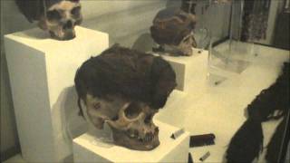 Pre-Inca Wari Culture: Deserts And Dreadlocks