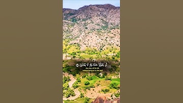 تلاوة خاشعة قرأن كريم تخشع له القلوب #elmulquranعلم #قران_كريم #تلاوة #اكسبلور #trend #duet