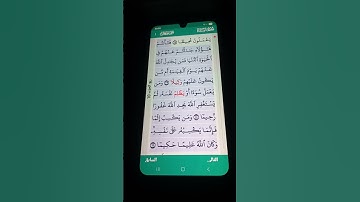 سورة النساء الآية 109-111 سعد الغامدي