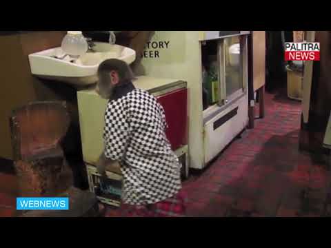 რესტორანში მიმტანად მაიმუნი მუშაობს