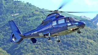 Eurocopter (Airbus Helicopters) AS365 N3 Dauphin / start up, taking off and landing at Locarno