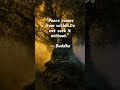 The Stillness Within