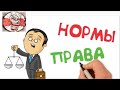 АДМИНИСТРАТИВНЫЙ ПРОЦЕСС. ЗАНИМАТЕЛЬНЫЙ ВЗГЛЯД НА ПРАВА И ОБЯЗАННОСТИ.