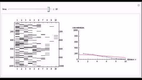 Simulation of 1D Diffusion Using the Monte Carlo Method
