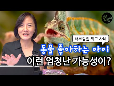 🦎동물좋아하는 초등아이, 지식과 진로로 자연스레 확장하는 법_가능성을 열자