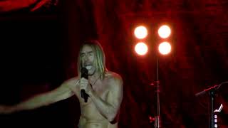 Iggy Pop - I wanna be your dog (Medimex Bari - 10.06.2017)