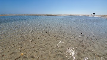 iPad x AUM x miRack x FLIP // flowredux