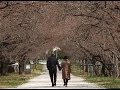 認知症の妻と夫の10年間を追ったドキュメンタリー！映画『妻の病−レビー小体型認知症−』予告編