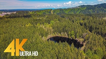 4k Around the Lake Trail, Tiger Mountain - Forest Walk - Short Preview Video