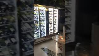 Settimo - Roman Cuisine Terrace